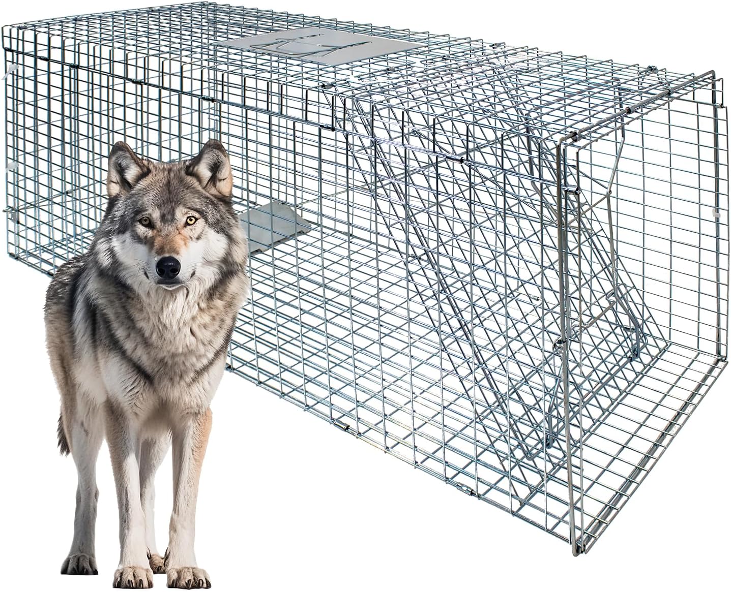 Humane Live Animal Trap Cage - Large Foldable 51.1"x17.4"x18.9" | Powder-Coated Alloy Steel for Raccoon, Fox, Stray Cat & More