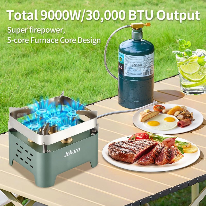30,000 BTU Camping Stove, Portable Camp Stove Gas Stove,Windproof Small Propane Butane Stove, Stainless Steel, with Carrying Case & ignitor,for Emergency, Outdoor, Hiking,Picnic