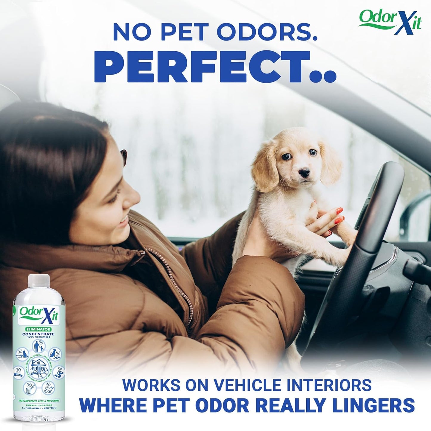 Pet Urine Odor Eliminator - Natural Deodorizer for Cats & Dogs | 16oz Concentrate