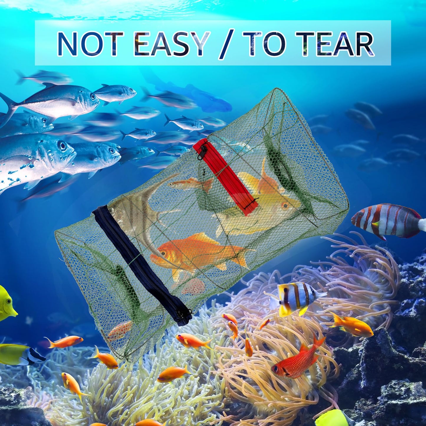 Foldable Fishing Trap Net, 0.28 inches (7mm Mesh)