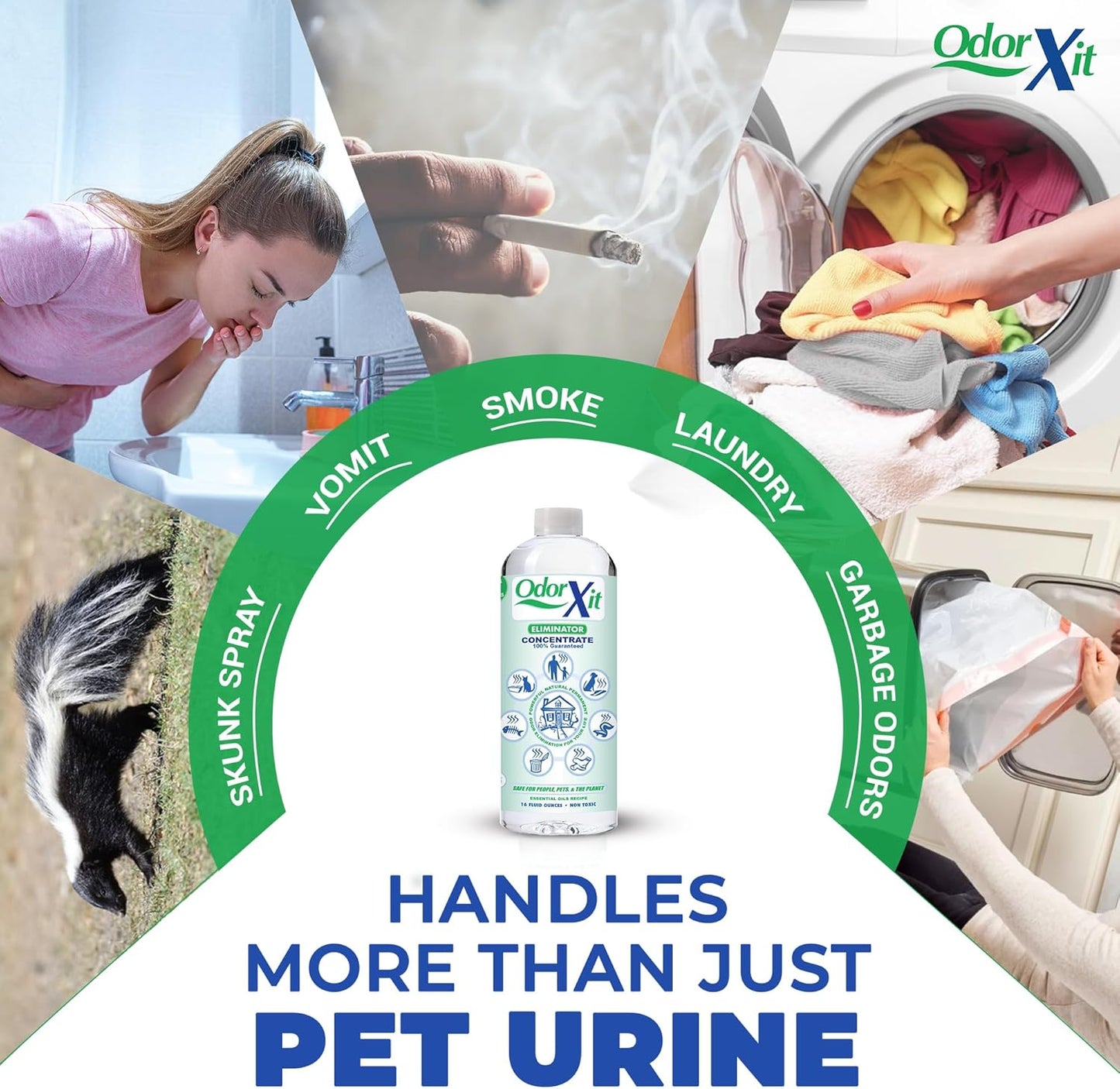 Pet Urine Odor Eliminator - Natural Deodorizer for Cats & Dogs | 16oz Concentrate