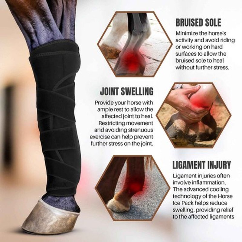 Hudson Comfort Horse Ice Boots Set of 4 – Cooling Horse Ice Pack Wrap for Knee, Hock, Ankle, Hooves Injury – Hot and Cold Therapy Horse Leg Wraps – Full Coverage Cold Packs - 4 Wraps + 8 Gel Packs