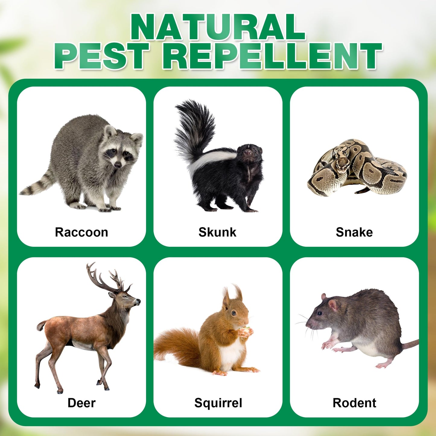 12 Pack Natural Skunk Pouches, Skunk Raccoon Repellent Pouches for Outdoor Yard Garden House | Long-Lasting Protection | Safe for Dogs and Children