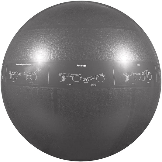 GoFit ProBall Stability Ball – Printed Exercise Ball for Yoga, Workout, Balance - Silver 75cm,GF-75PRO