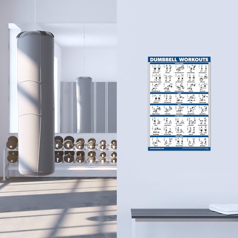 Palace Learning 4 Pack - Dumbbell + Barbell + Bodyweight Workouts - Muscle Set of 4 Laminated Charts (18'' x 24'')