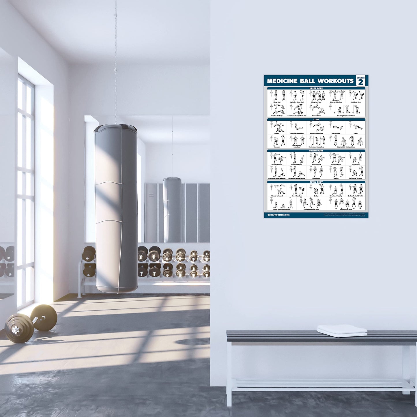 Palace Learning 2 Pack - Medicine Ball Workouts Volume 1 & 2 Exercise Poster Set - Fitness Charts (18" x 24", LAMINATED)