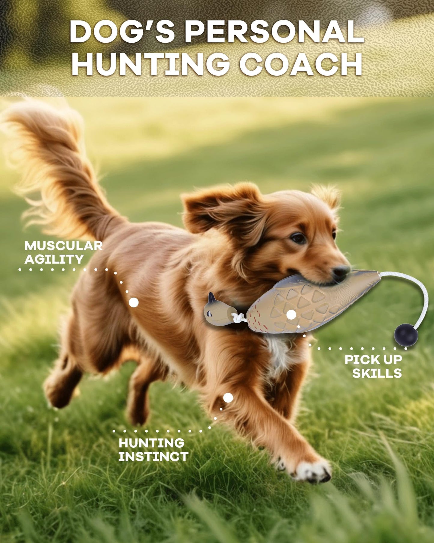 gardmate Dog Bumper for Water Retrieving - Bionic Dove Dog Training Dummy with Floating and Tear - Hunting Dog Toy - Durable Bite-Resistant Toy for Hound Training(Dove)