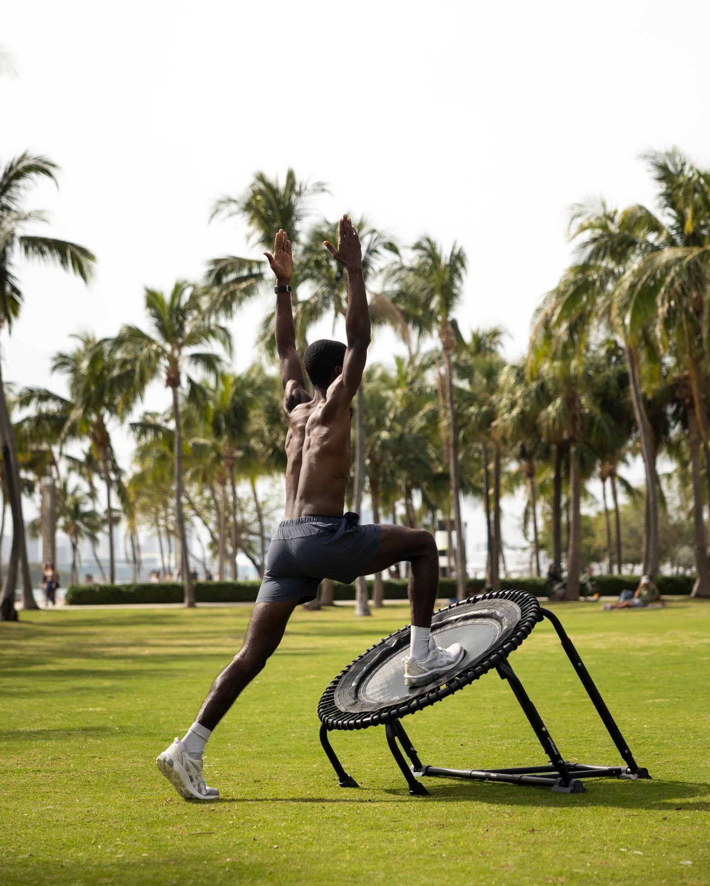 350 Plyometric Rebounder Bundle (Trampoline + PlyoFit PRO Adapter) | 39" | Toning Ball Included