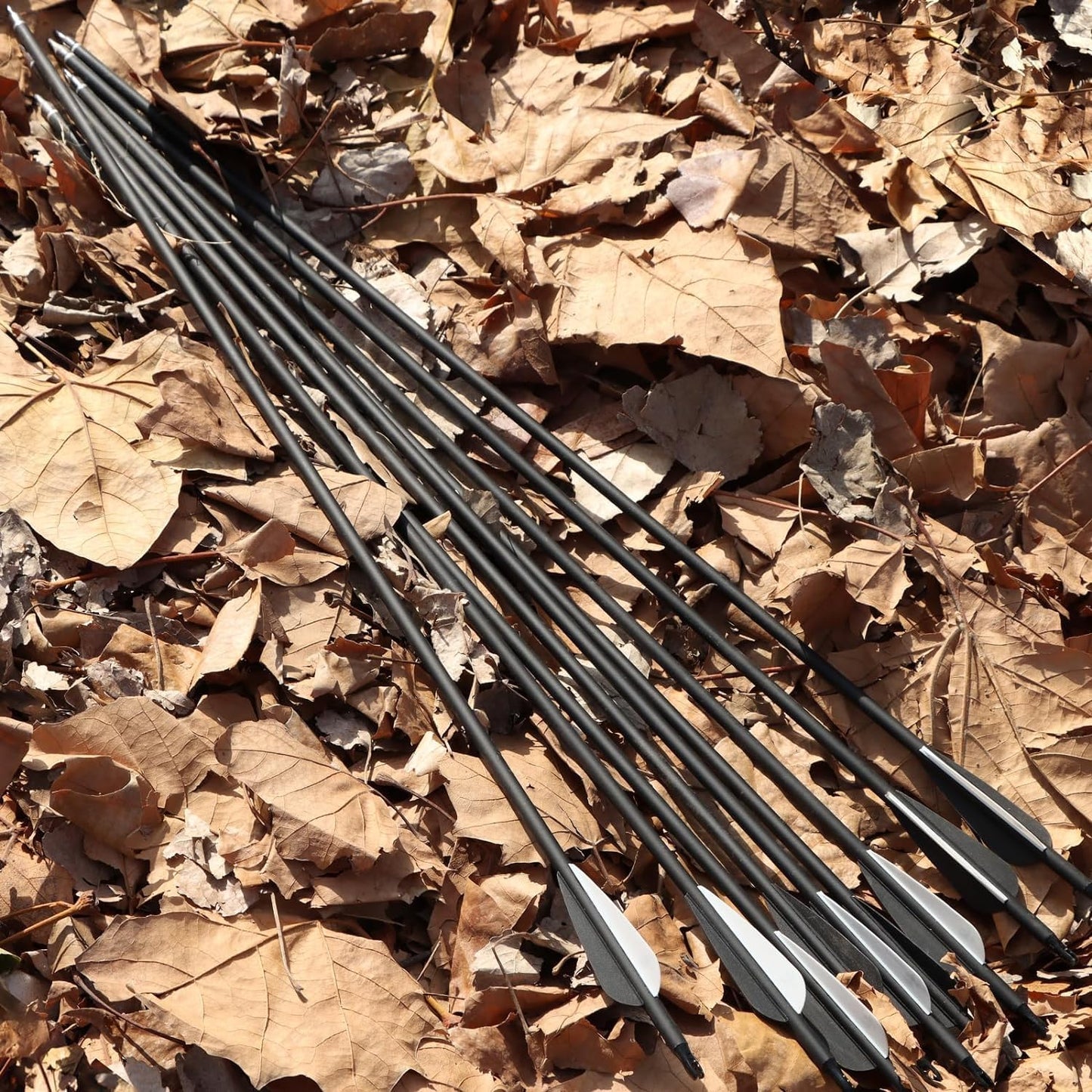 Carbon Arrow Practice Hunting Arrows - Spine 500 for Compound & Recurve Bow | 28-30 Inch (Pack of 12)