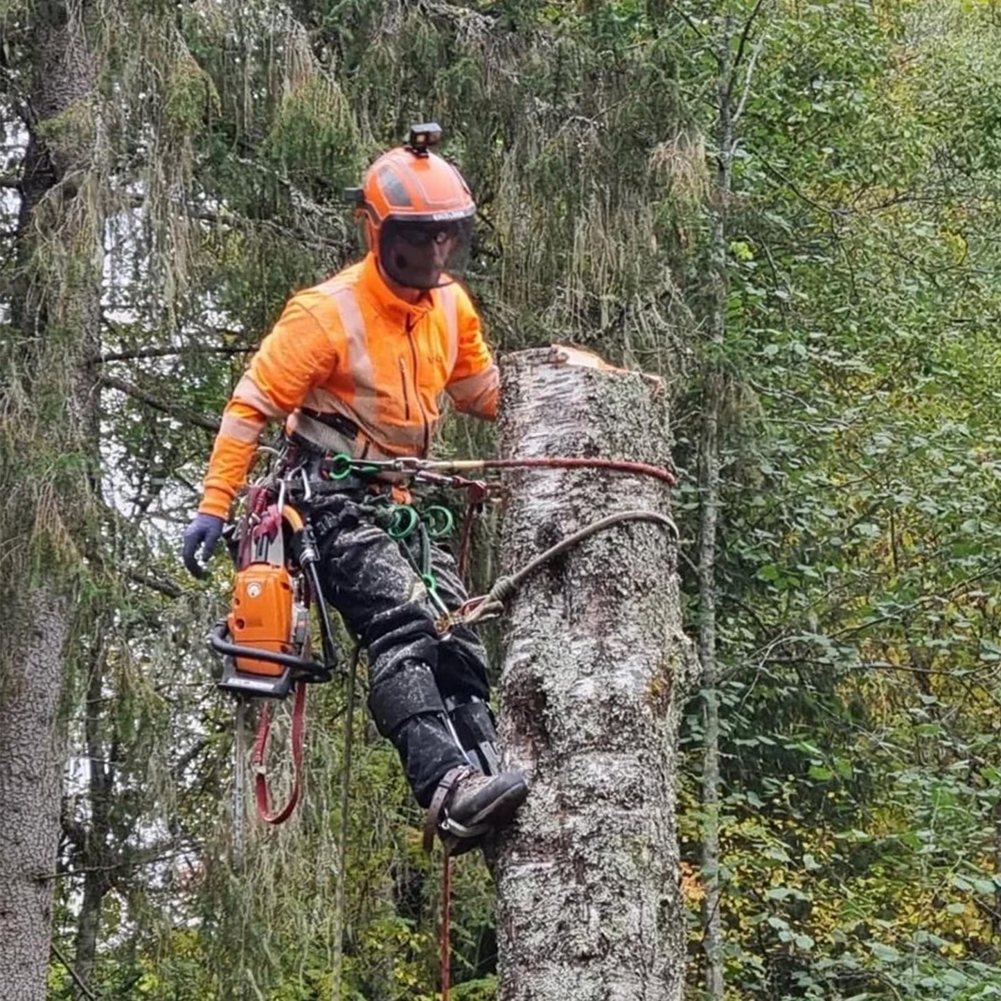 TraVisonyx Tree Climbing Gear,Tree Climbing Spikes，Tree Climbing Kit,Arborist Equipment for Climbers, Hunting, Fruit Picking ，Logging, Climbing Etc