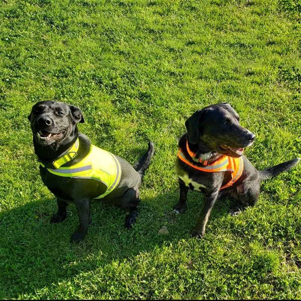 SafetyPUP Dog Vest - Reflective Hi-Visibility Fluorescent Yellow for Safety | Mid Back Coverage