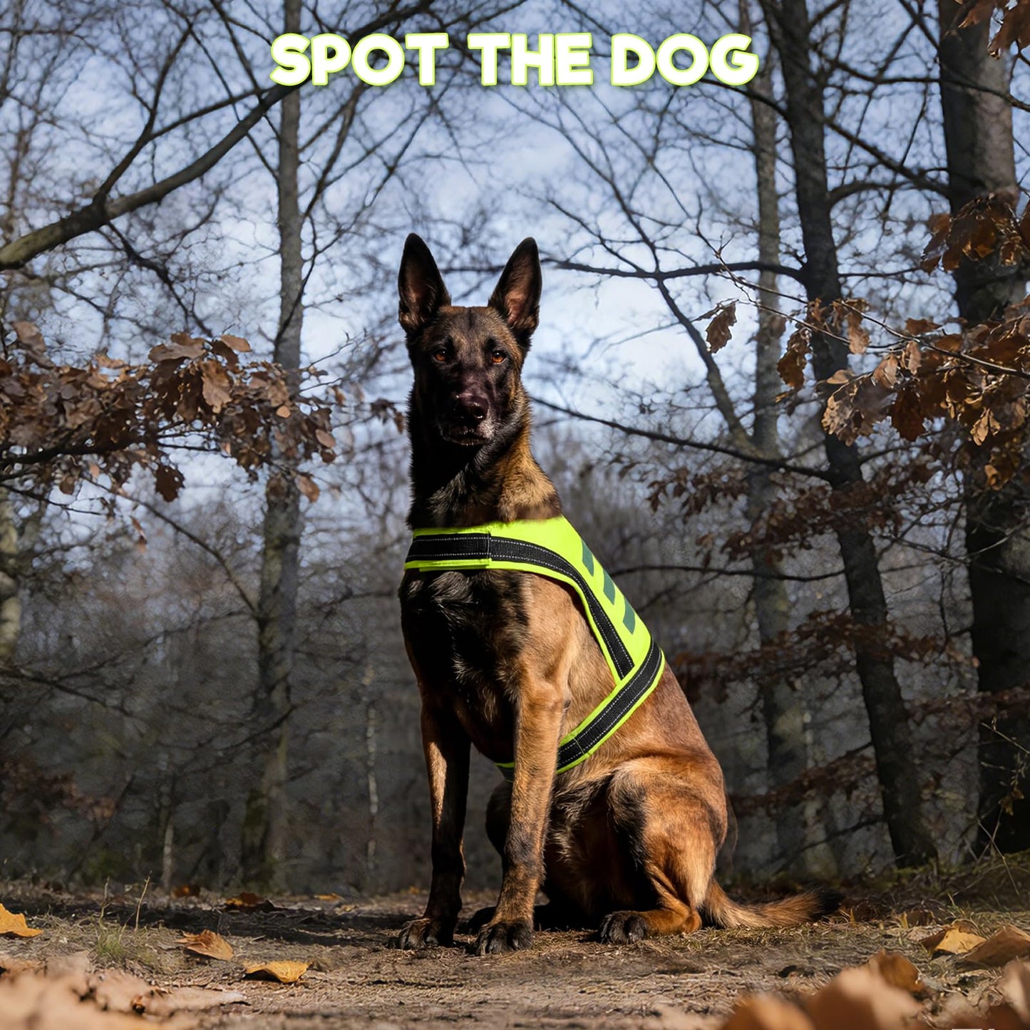 DENTRUN Dog Reflective Vest, High Visibility Safety Vest for Small Medium Large Dogs, Easy-On Adjustable Reflective Jacket for Outdoor Hunting Night Walking Jogging, Bright Green