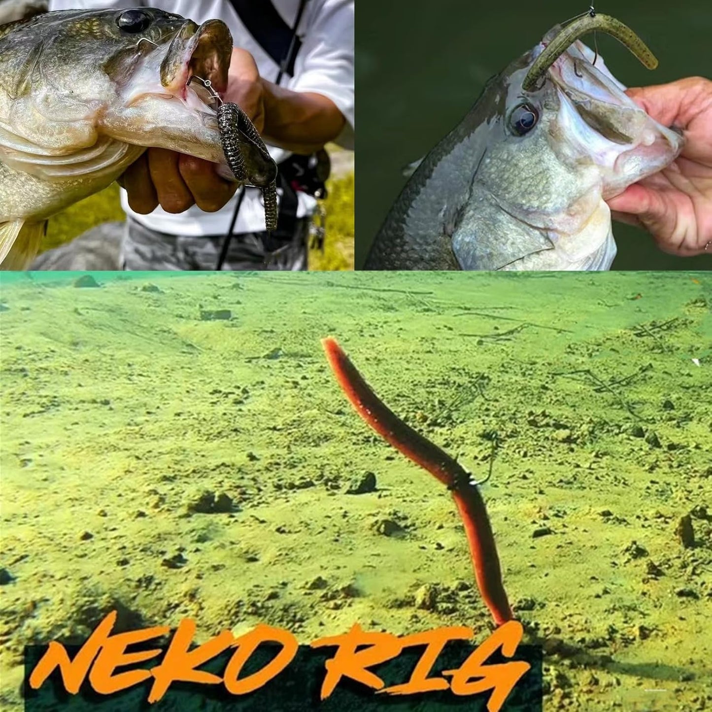 Wacky Worms Fishing Lures - 30 Pcs Soft Plastic Baits for Bass | 5.5" & 4" Mixed Colors