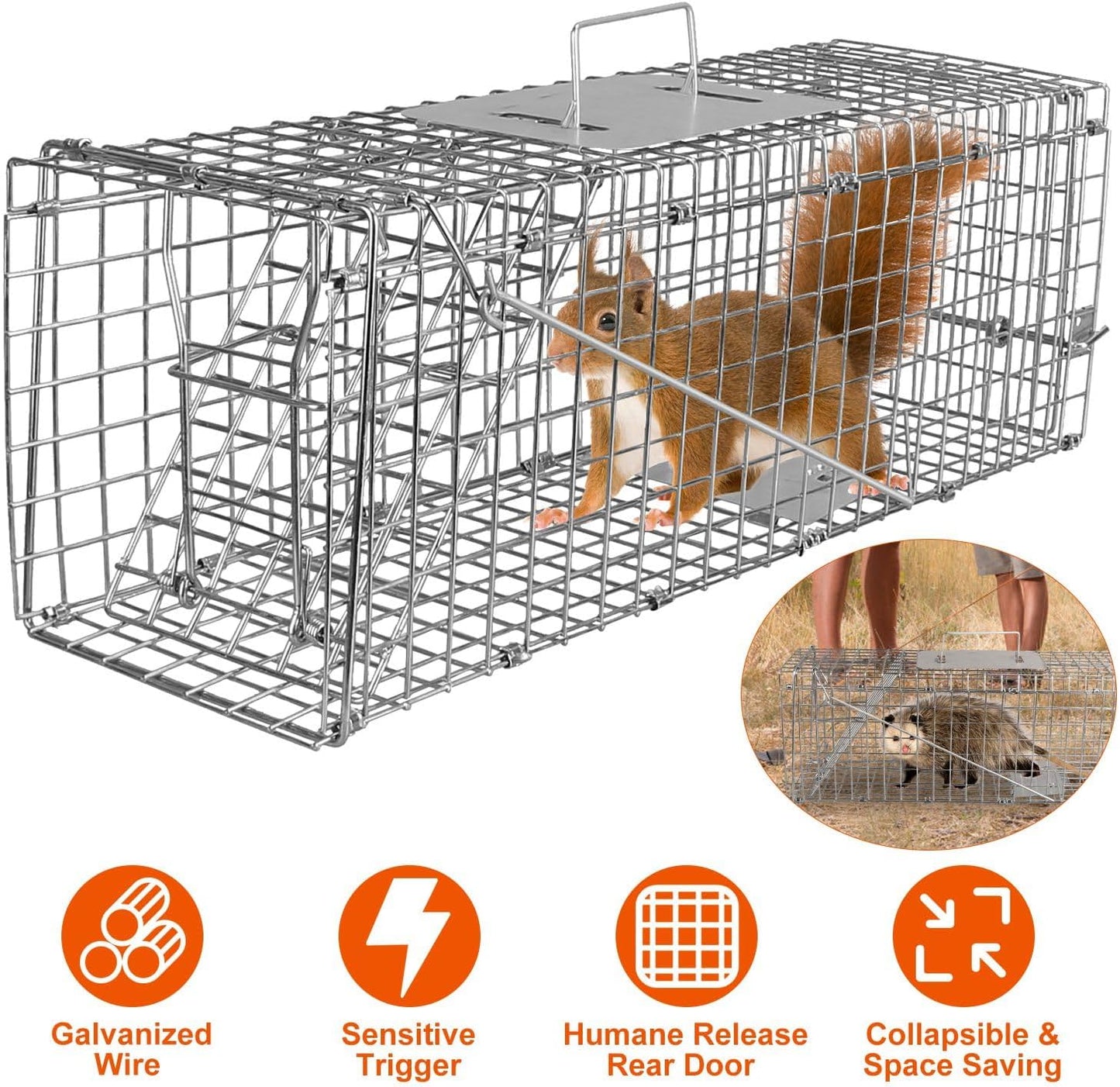 Large Live Animal Trap Cage - Foldable Heavy-Duty Humane Trap for Rats, Foxes, Cats & More | Silver Finish