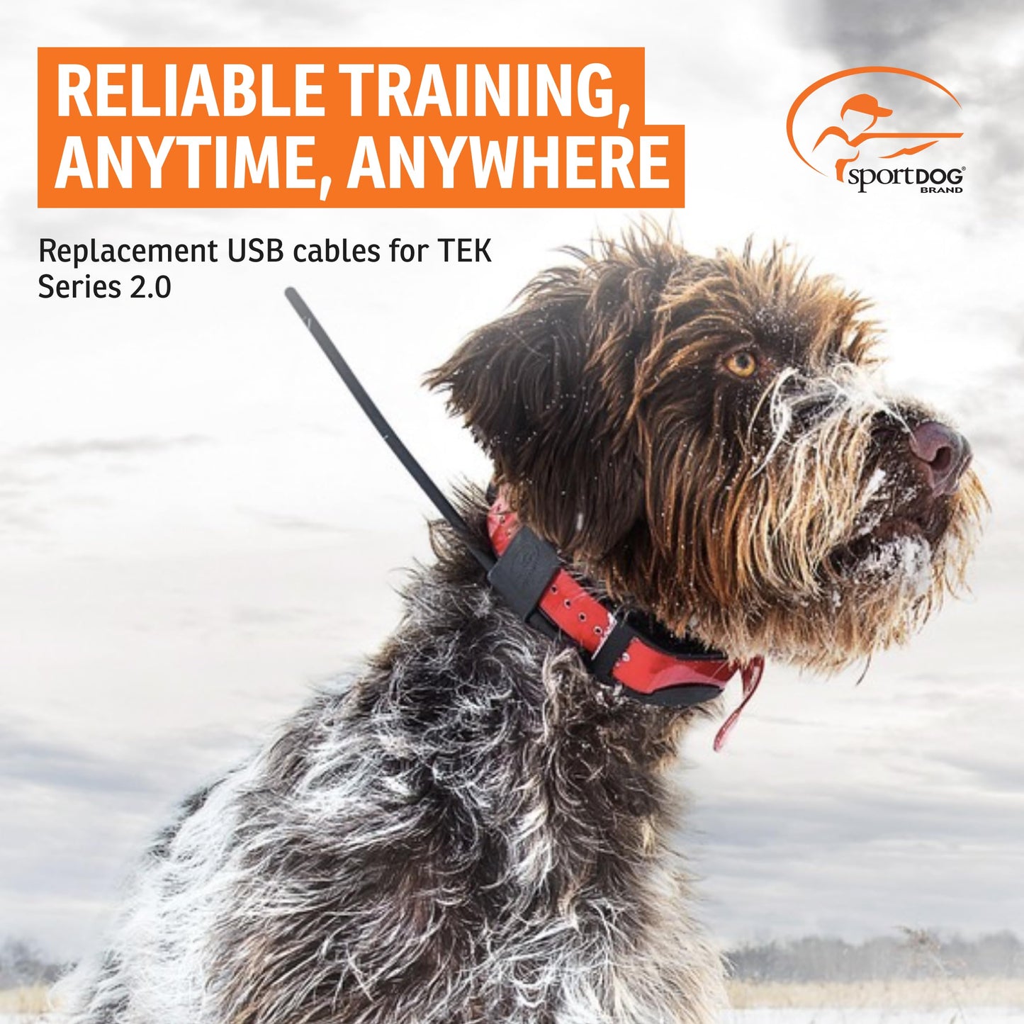 SportDOG TEK Series 2.0 USB Cables - Quality GPS Collar Charging Adaptor Cable - Quickly Connects to Computer or Adaptor for Convenient Use - Reliable USB Connection