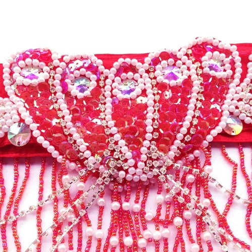 ROYAL SMEELA Belly dance Costume Set Professional For Women Carnival Bellydance Bra and Belt, Red, Medium