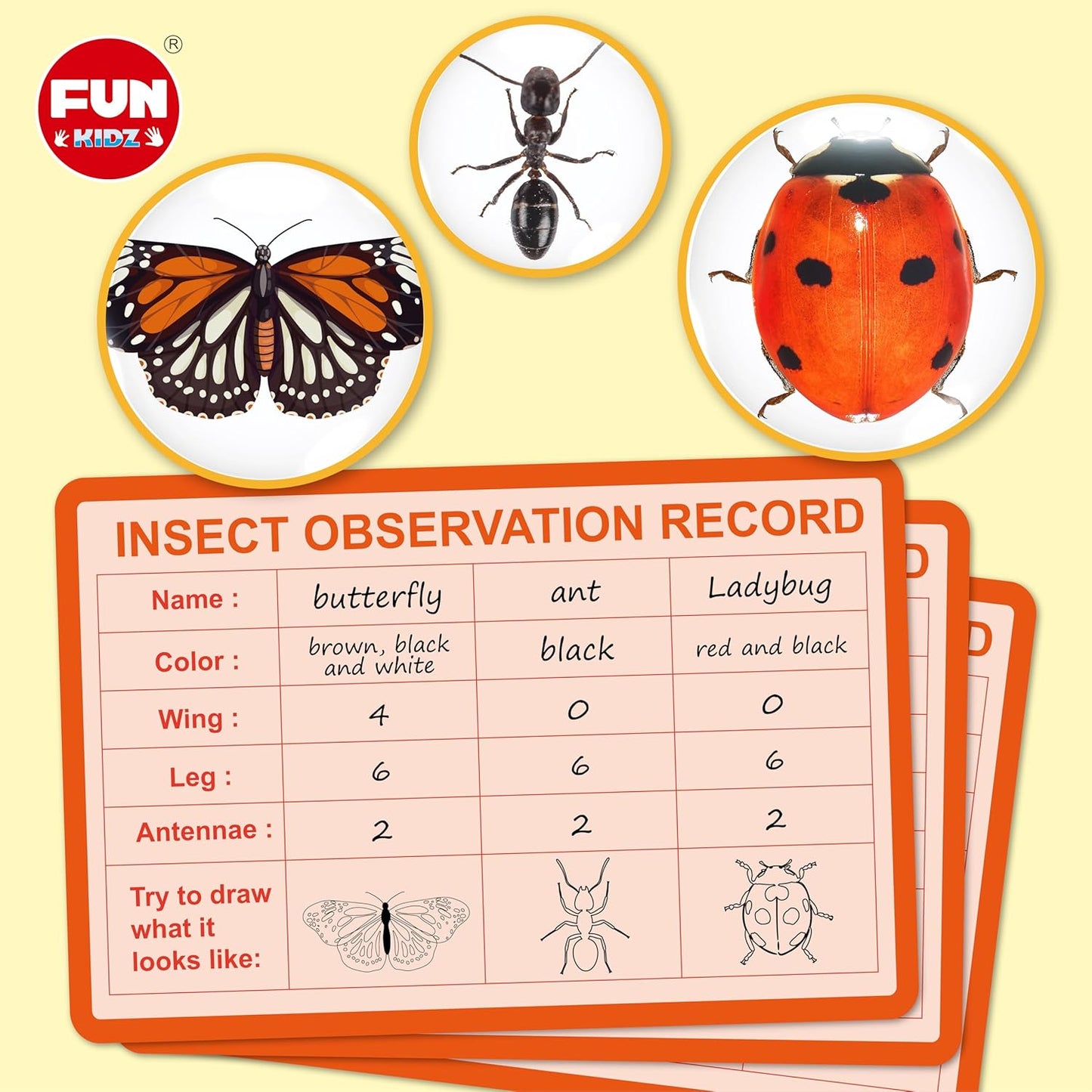 Bug Catcher Kit for Kids - Outdoor Science Activity with Magnified Viewer | Includes Net, Tweezers & Record Lists for Ages 3-12