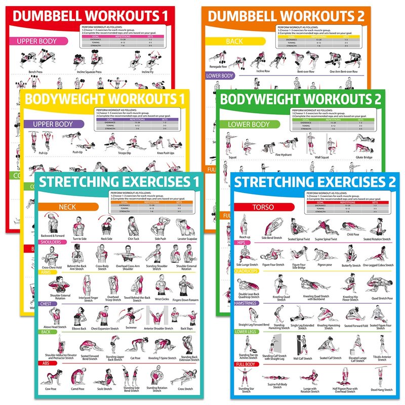 gisgfim 6PCS Dumbbell Bodyweight Stretching Workout Posters for Home Gym Wall Decor