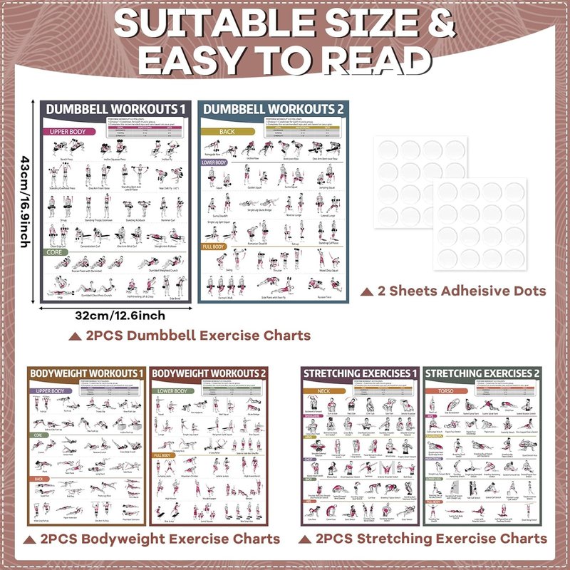 Workout Posters for Home Gym - 6PCS Dumbbell & Bodyweight Exercise Charts | Ideal for Stretching