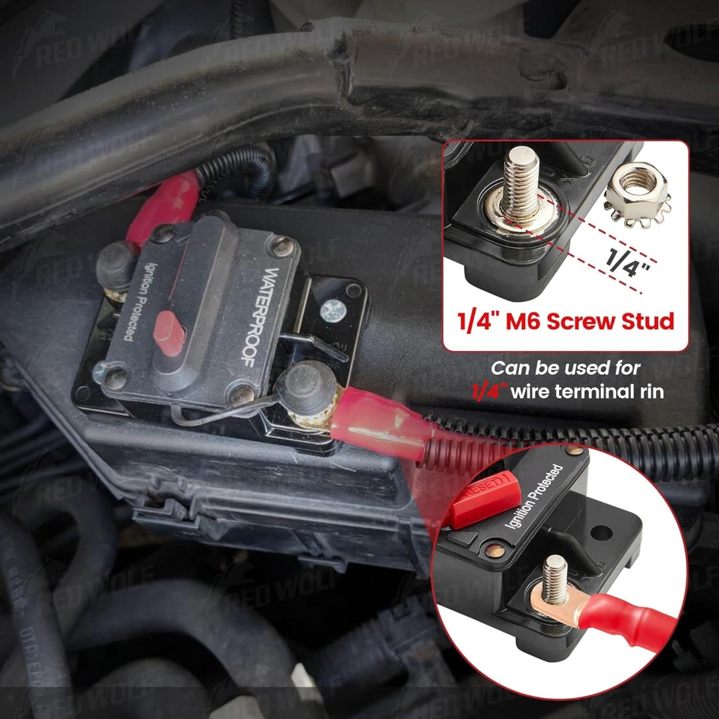 RED WOLF 60 Amp Circuit Breaker W/Ring Terminal 6 Gauge Connector Manual Reset Switch for Boat Trolling Motor Marine ATV Trailer Vehicles Stereo Audio Electronic Battery Solar System Inline Fuse