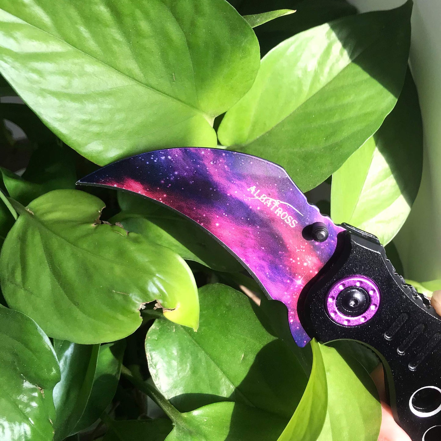 ALBATROSS EDC Cool Spring Assisted Folding Pocket Knives Tactical Sharp Raptor Claw Knife(Purple)