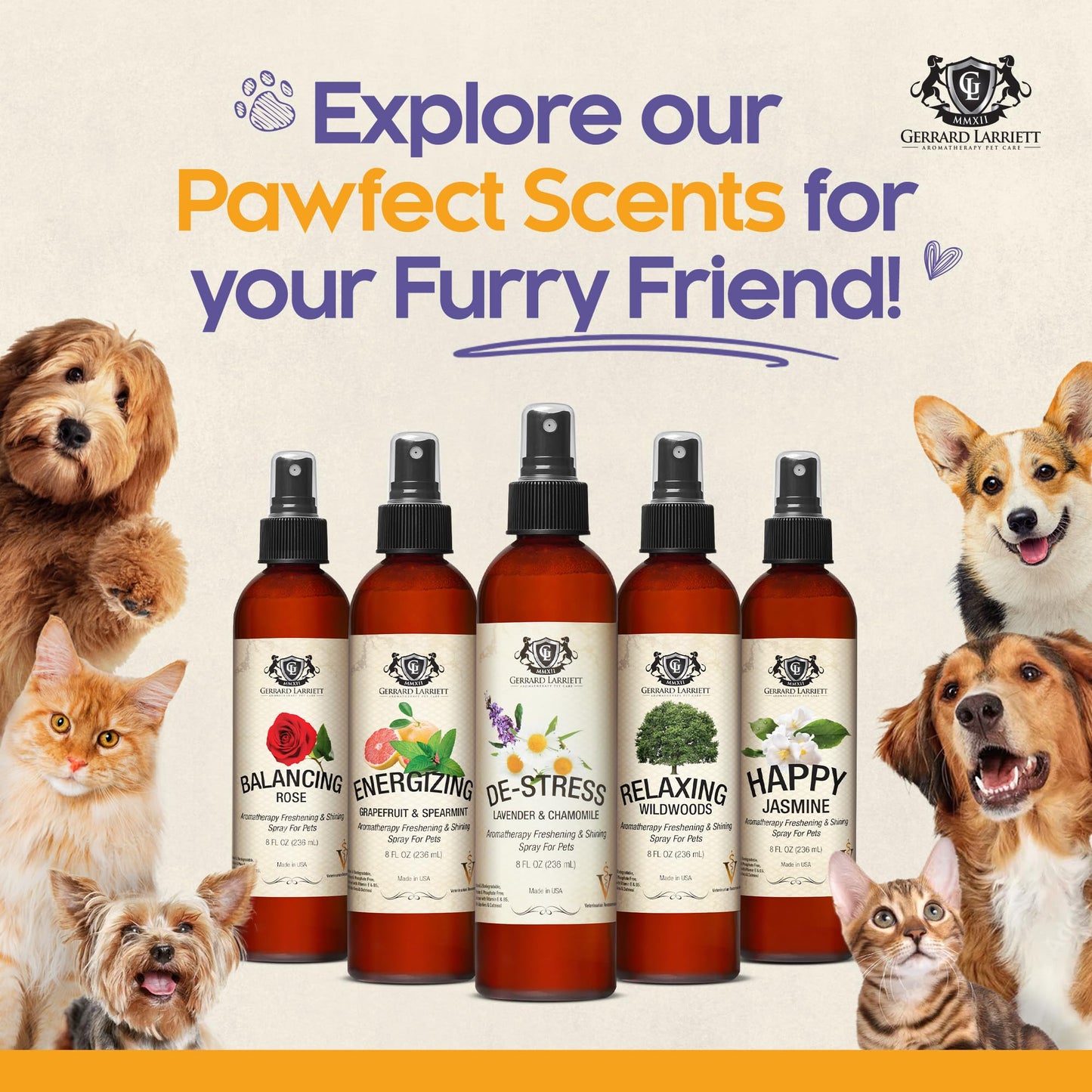 Dog Perfume Spray Long Lasting Chamomile & Lavender 8 Fl Oz, Dog Cologne Spray Long Lasting for Groomers, Calming Deodorizer Perfume for Dogs, Pet Puppy Deodorizing Fragrance by Gerrard Larriett
