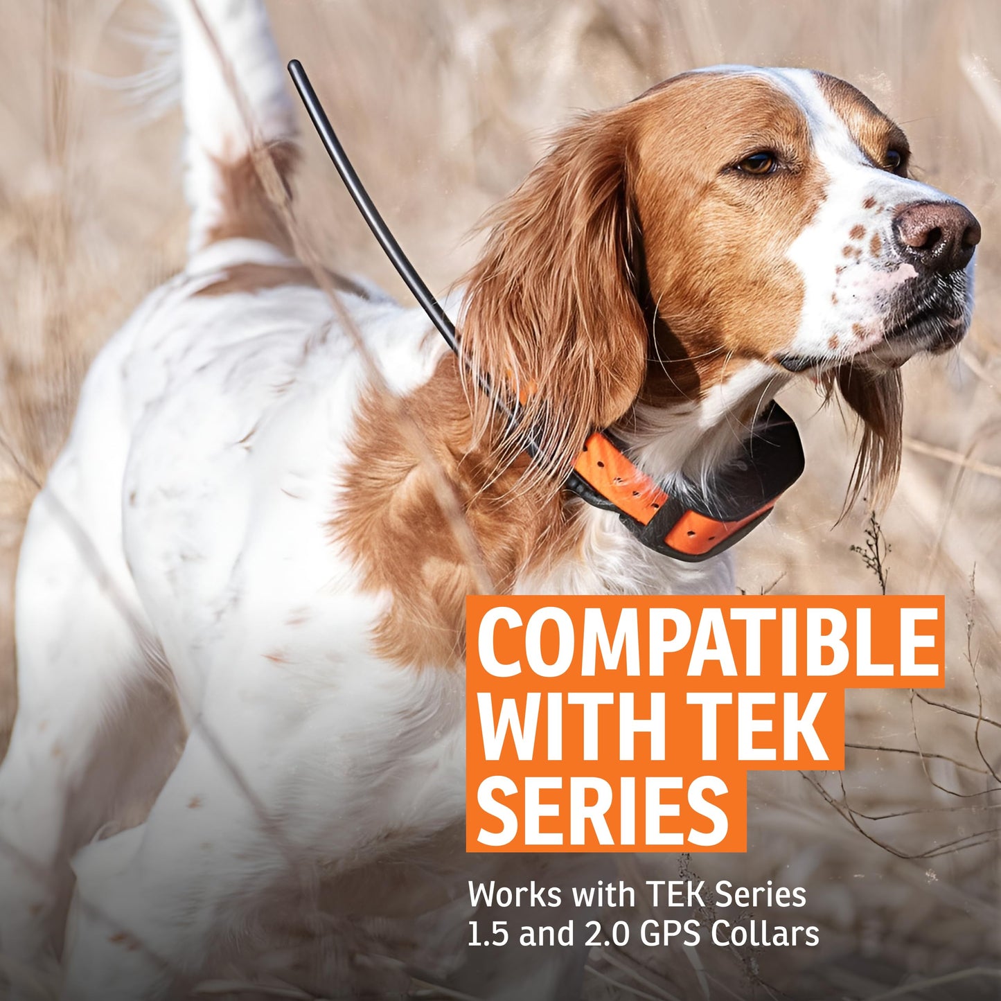 SportDOG Brand TEK Series 2.0 Charging Cradle