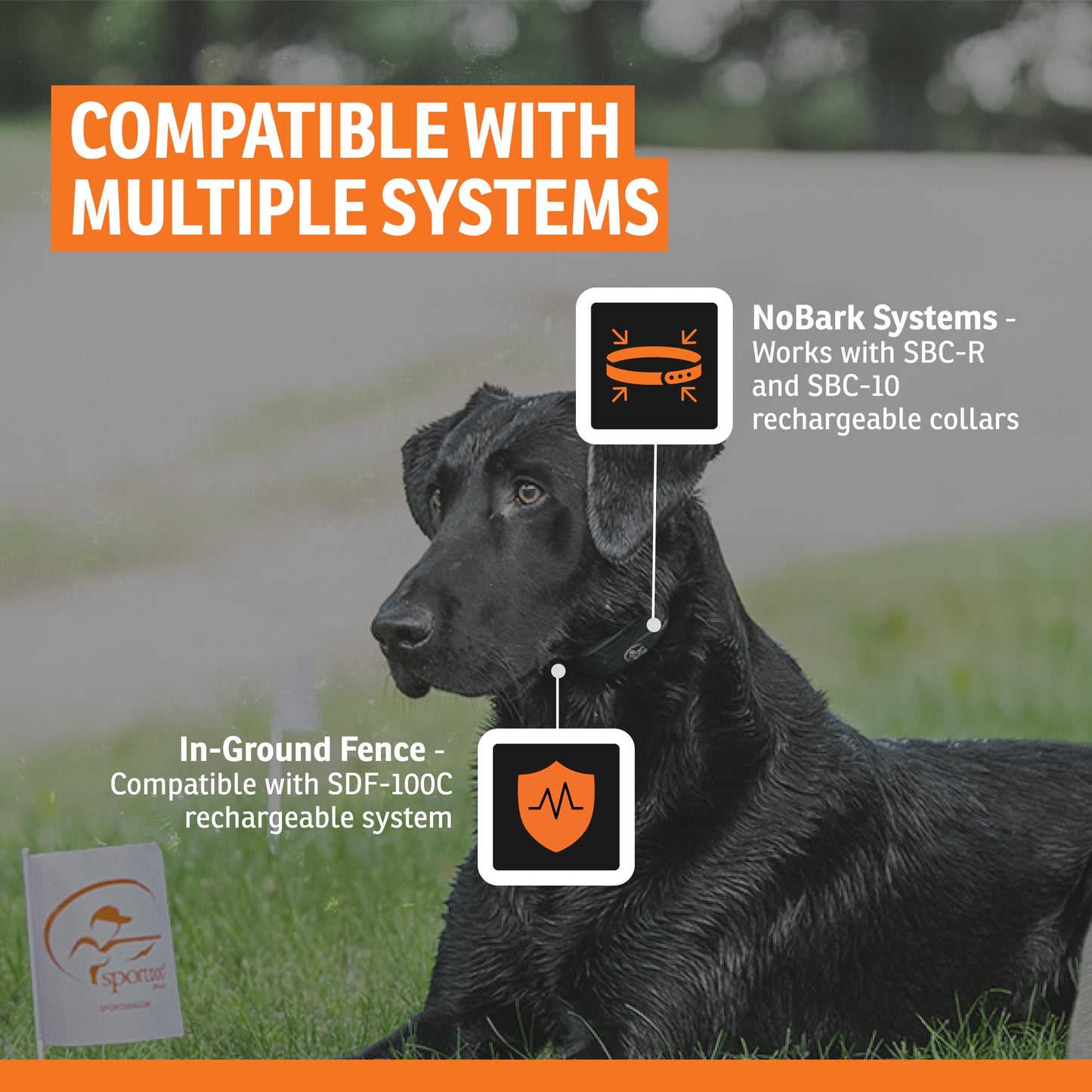 SportDOG Brand In-Ground Fence (SDF-100C) and NoBark SBC-R and SBC-10 Replacement USB Cable - USB Only