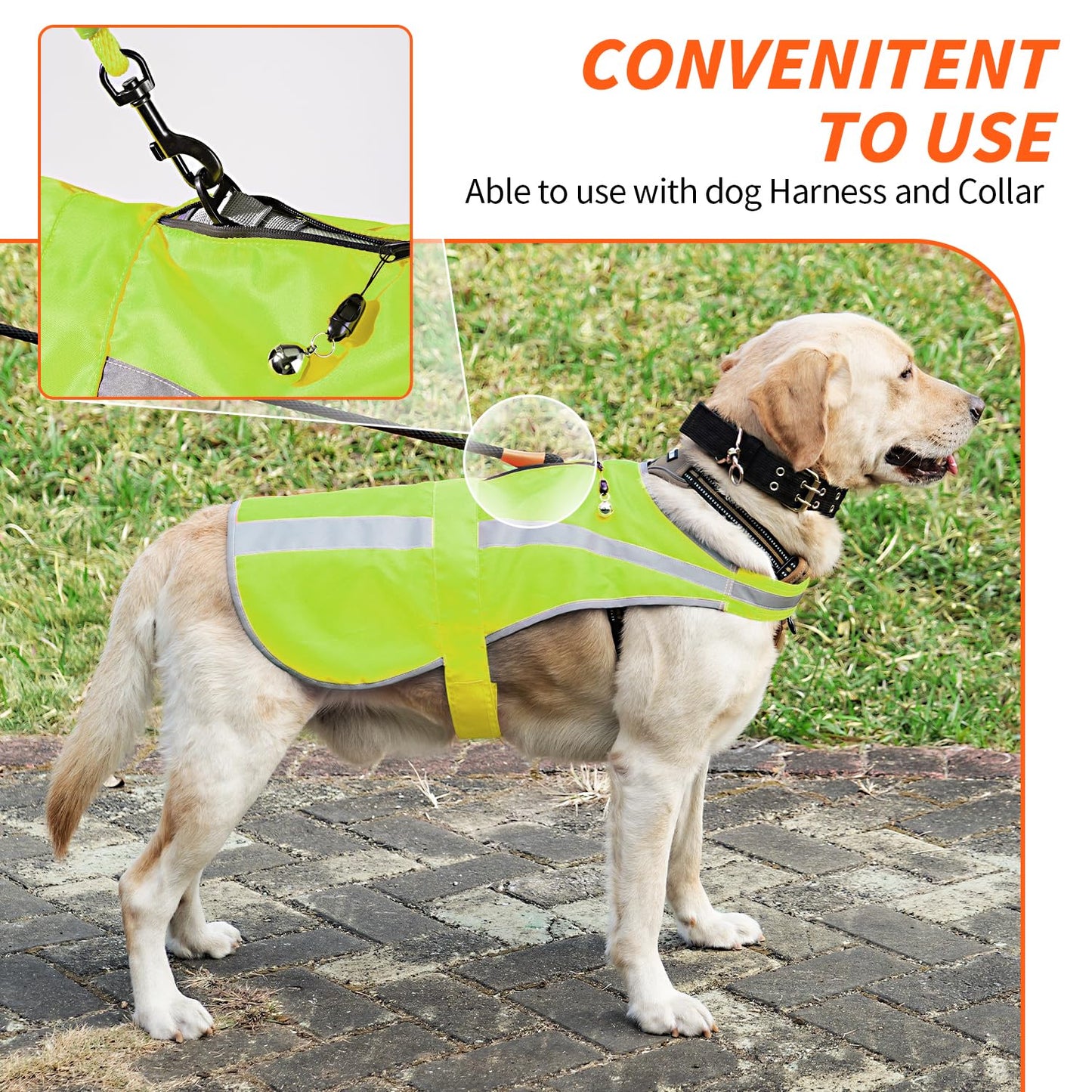 Reflective Dog Vest for Small and Medium Breeds, High Visibility Dog Safety Vest with Removable Bell Keep Safe from Hunting, Training & Cars Accidents(Green,Small)