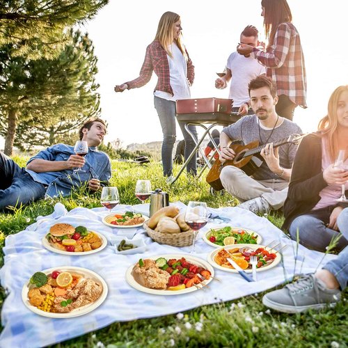 Vplus 300 Pack 100% Compostable Oval Paper Plates 12 inch Super Strong Disposable Paper Plates Bagasse Natural Biodegradable Eco-Friendly Sugarcane for BBQ, Party, Dinner, and Picnic