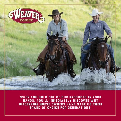 Weaver Equine ‎Straight Smart Horse Cinch, Anti-Slip Felt Lined Saddle Cinch Girth with Smart Cinch Buckle, Western Horse Riding Supplies, ‎Black