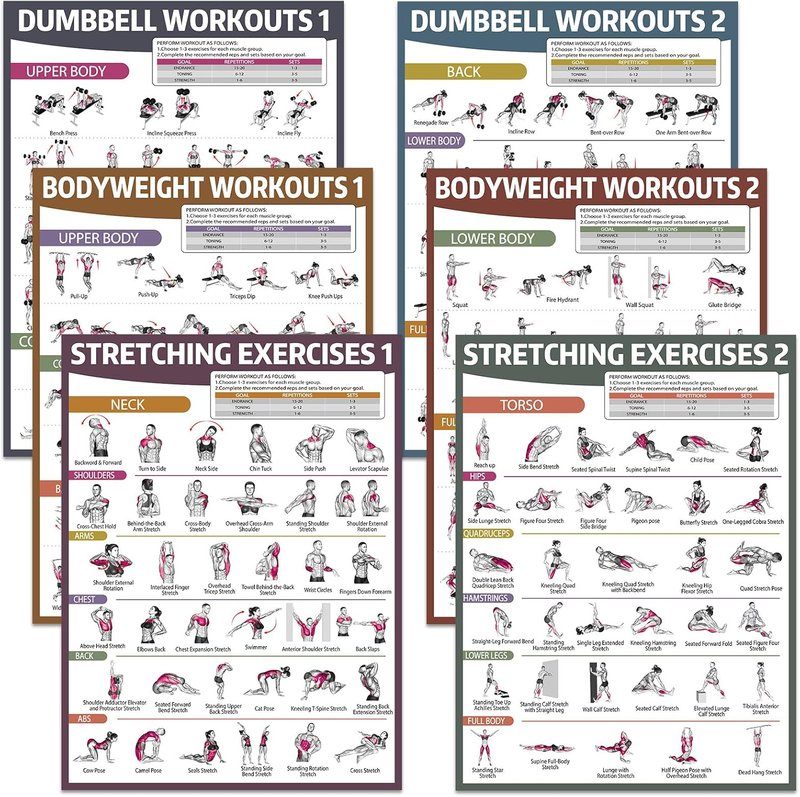 Workout Posters for Home Gym - 6PCS Dumbbell & Bodyweight Exercise Charts | Ideal for Stretching