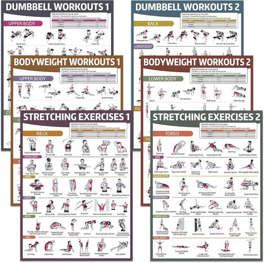 Workout Posters for Home Gym - 6PCS Dumbbell & Bodyweight Exercise Charts | Ideal for Stretching