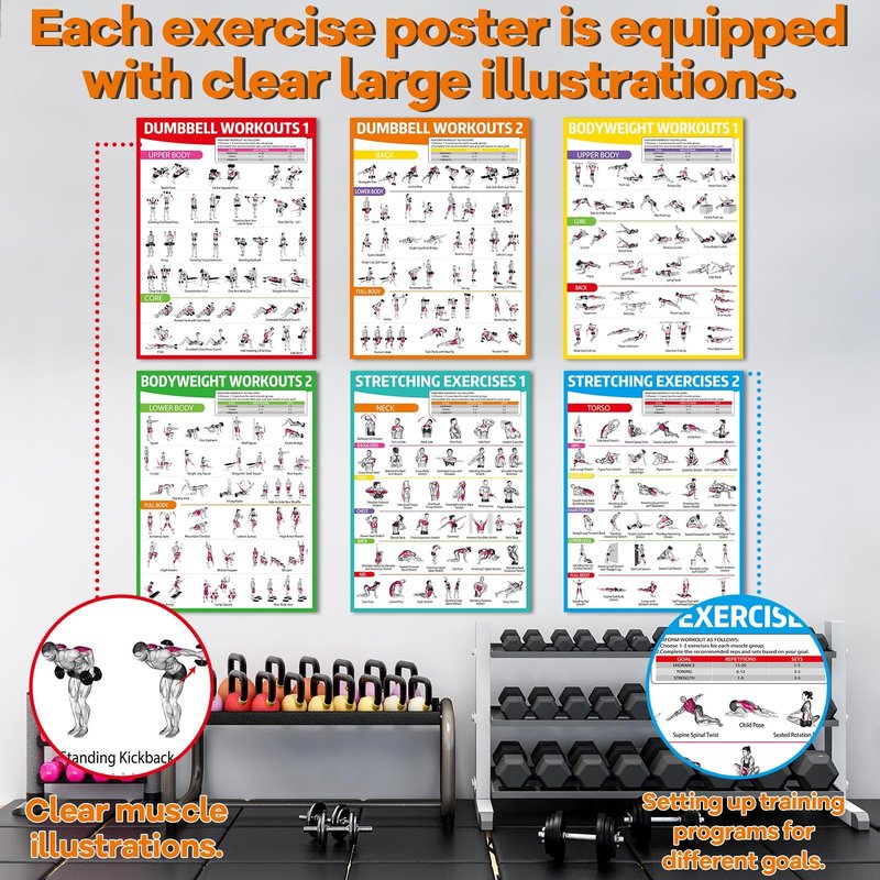 gisgfim 6PCS Dumbbell Bodyweight Stretching Workout Posters for Home Gym Wall Decor