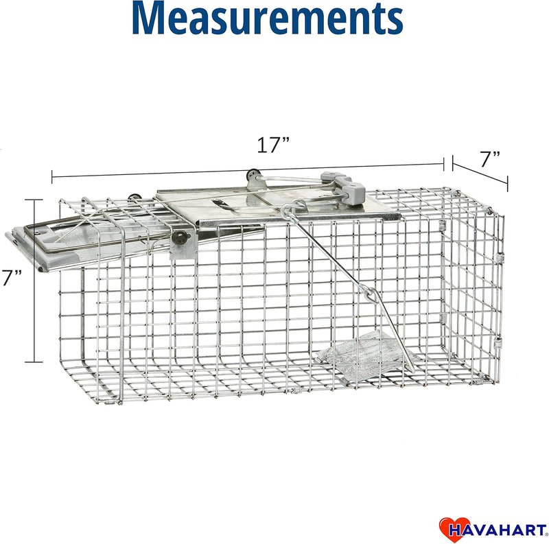 Humane Live Animal Trap - Easy-Set 1-Door Design for Squirrels, Rabbits & Skunks | Durable Steel Construction