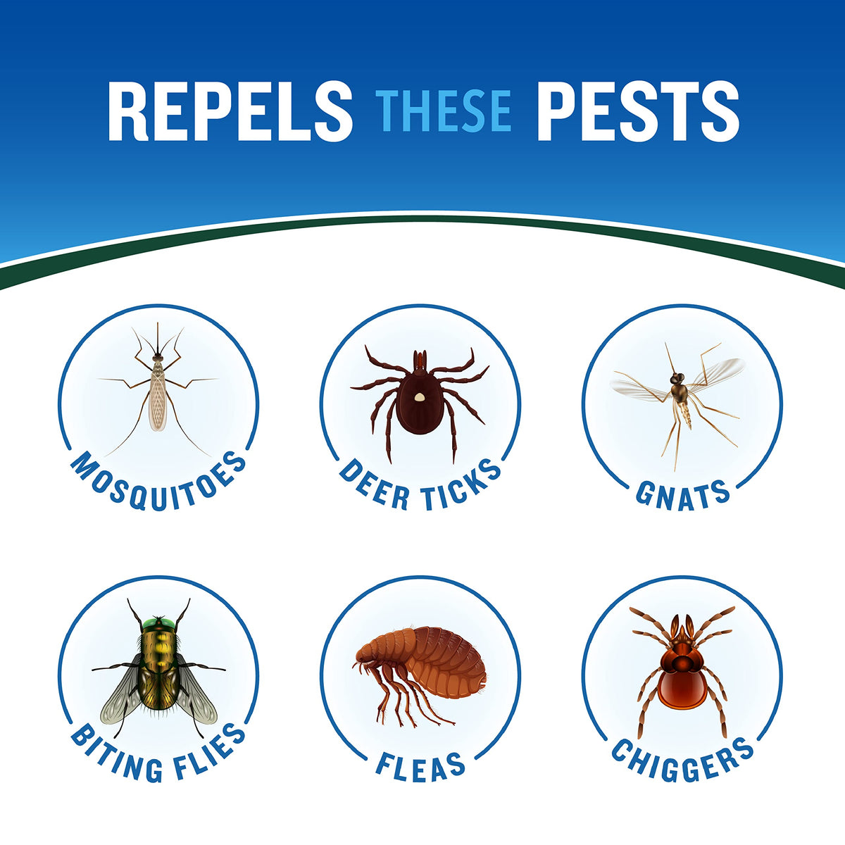 Cutter Backwoods Insect Repellent, Mosquito Repellent, 25% DEET, Sweat Resistent, 6 Ounce (Aerosol Spray)