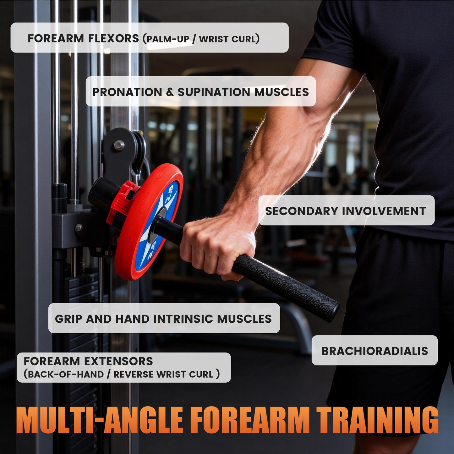 Wrist Strength Stick 1&2in Olympic Plate Forearm Strengthener, Wrist Strengthener with Upgraded Steel Tube and Long Comfortable Knurled Grip, Wrist Exerciser for Wrist Curls,Supination & Pronation