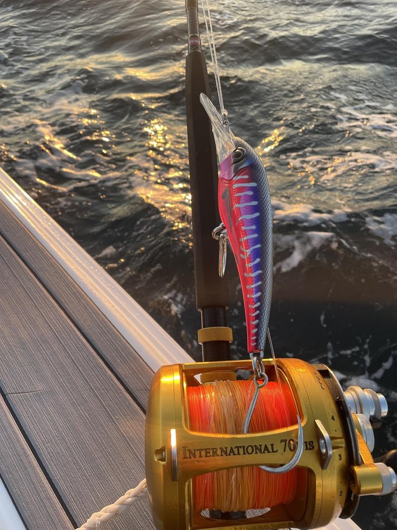 DTX Minnow Lure with Patented Autotune System - Distressed Baitfish Action | BKK Diablo