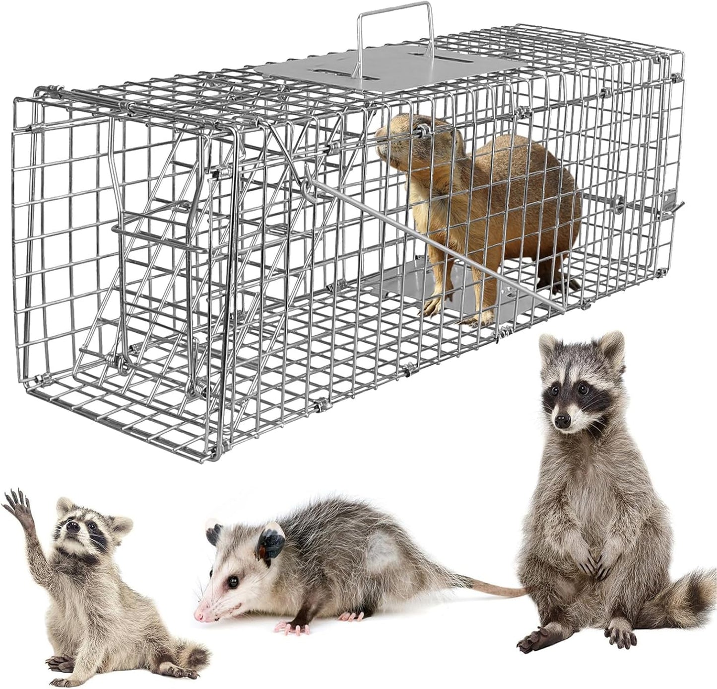 Large Live Animal Trap Cage - Foldable Heavy-Duty Humane Trap for Rats, Foxes, Cats & More | Silver Finish