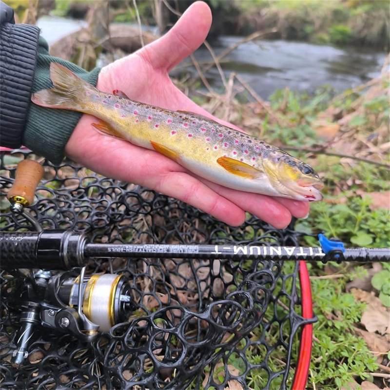 **Titanium-T Ultralight Fishing Rod - Carbon Fiber Spinning & Casting for Trout, 5-6ft, Cork Handle**