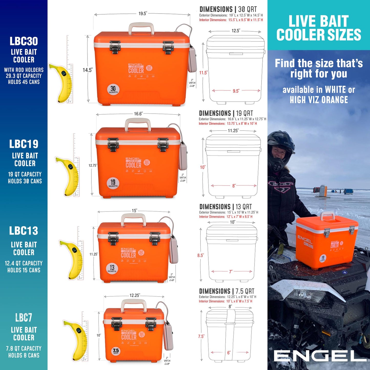 Engel 19qt Live Bait Cooler Box with 2nd Gen 2-Speed Aerator Pump - Portable Fishing Station & Minnow Bucket for Shrimp & Other Live Fish with Aerator - ENGLBC19-N-G in White