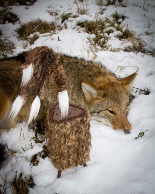 MOJO Outdoors Critter Predator Hunting Decoy - Great for Coyote and Bobcat Hunting and as a Varmint Decoy - Tail Decoy - Rabbit Decoy - Super Critter