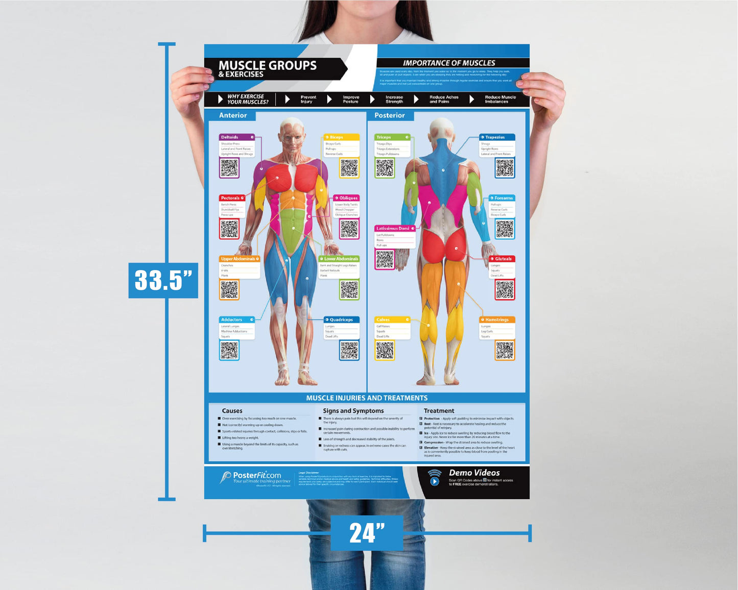 Gym Workout Posters - Set of 7 - Laminated - LARGE FORMAT 33" X 23.5" - Exercise Posters - Gym or Home Workout Charts - Includes Video Training Support