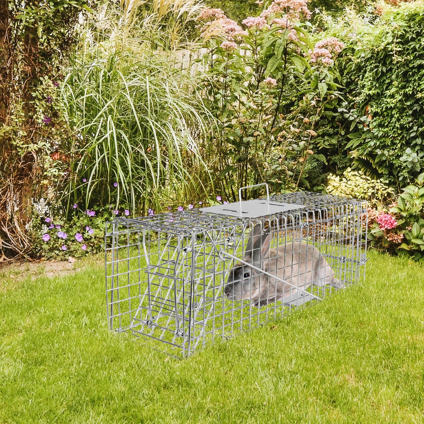 24” Humane Live Animal Trap Cage, Heavy Duty Folding Catch and Release Rodent Trap for Squirrels, Rabbits, Stray Cats, Skunks, Moles, Gophers, Groundhogs – Galvanized Rustproof Steel