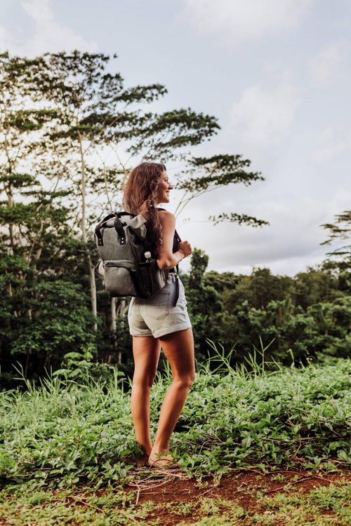 PICNIC TIME ONIVA - a Brand - OTG Roll-Top Cooler Backpack - Hiking Backpack Cooler - Soft Cooler Bag, (Black)