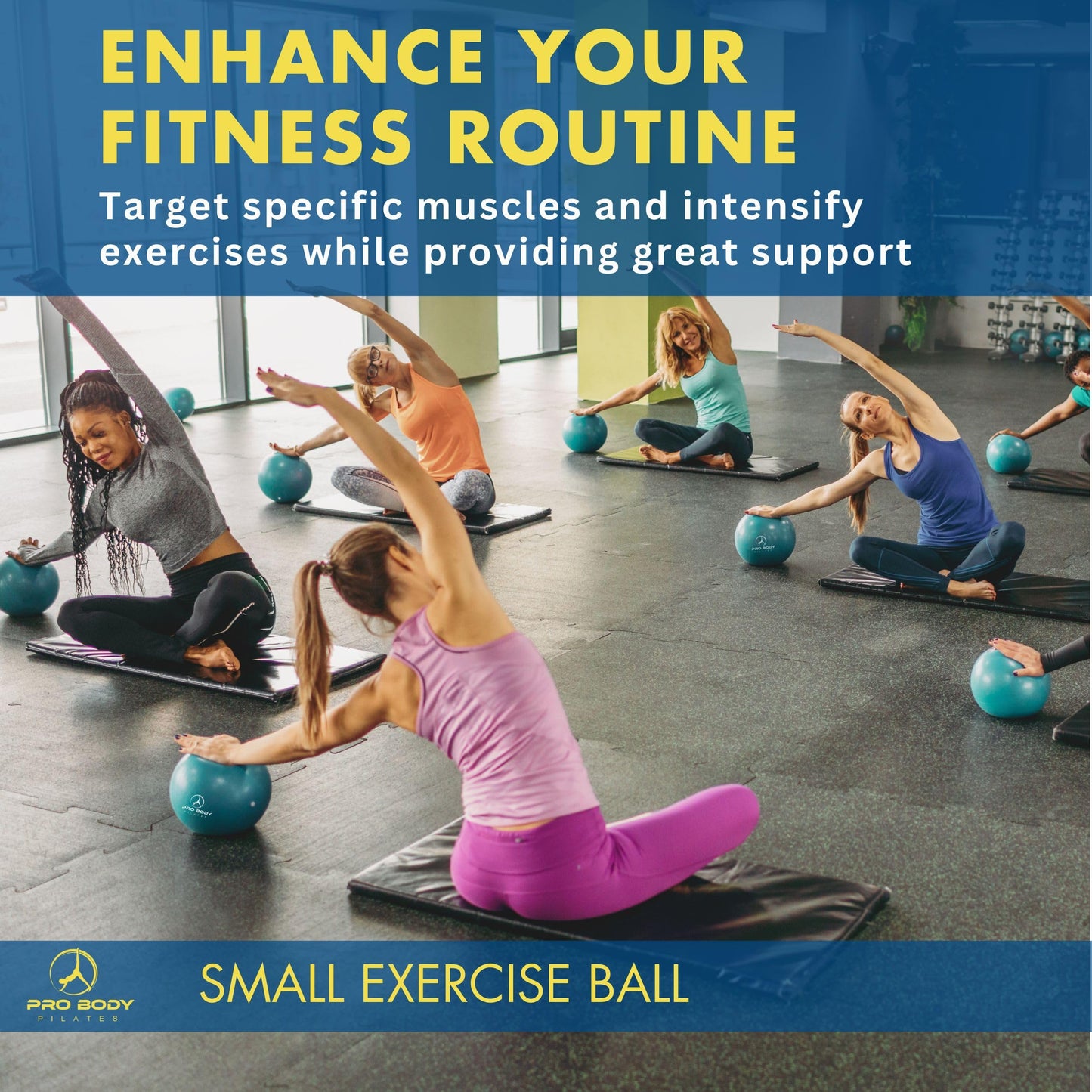 ProBody Pilates Small Exercise Ball with Pump - 9 Inch Workout Ball for Stability, Barre, Yoga, Core & Physical Therapy, Home Gym & Office Use (Black)