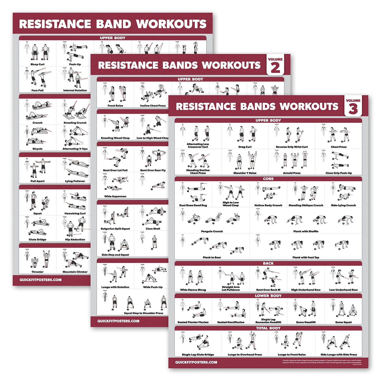 Palace Learning 4 Pack - Resistance Bands Workout Exercise Posters Volume 1, 2 & 3 + Resistance Loops Fitness Chart (LAMINATED WITH PLASTIC FRAME, 18" x 24")