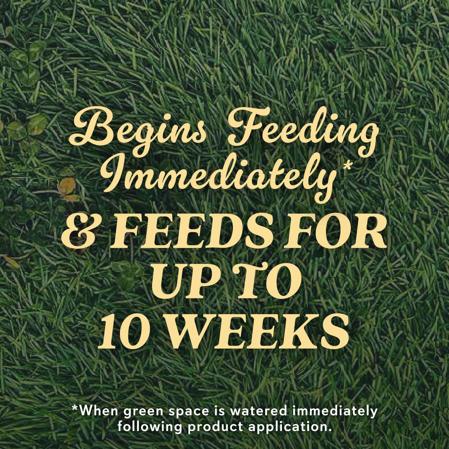 O.M. Scott and Sons Natural Grass Food - Grass Fertilizer for Lawns, Feeds up to 10 Weeks, Covers 2,000 sq. ft., 12.72 lb.