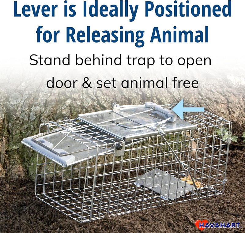 Humane Live Animal Trap - Easy-Set 1-Door Design for Squirrels, Rabbits & Skunks | Durable Steel Construction