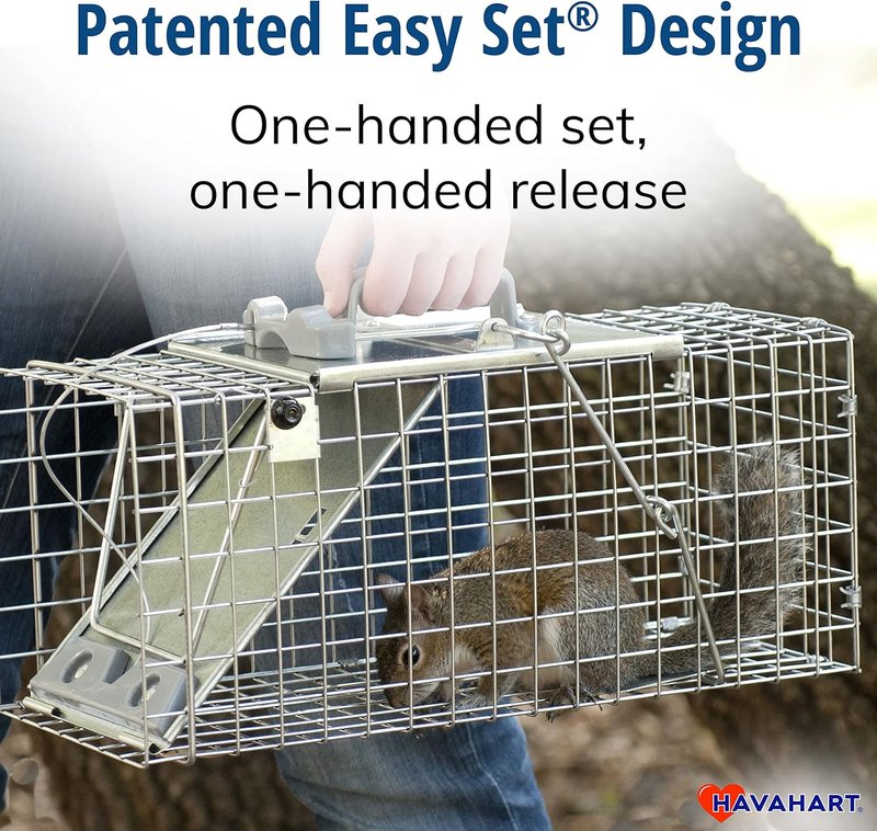 Humane Live Animal Trap - Easy-Set 1-Door Design for Squirrels, Rabbits & Skunks | Durable Steel Construction